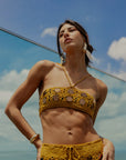 Conjunto Aurea
